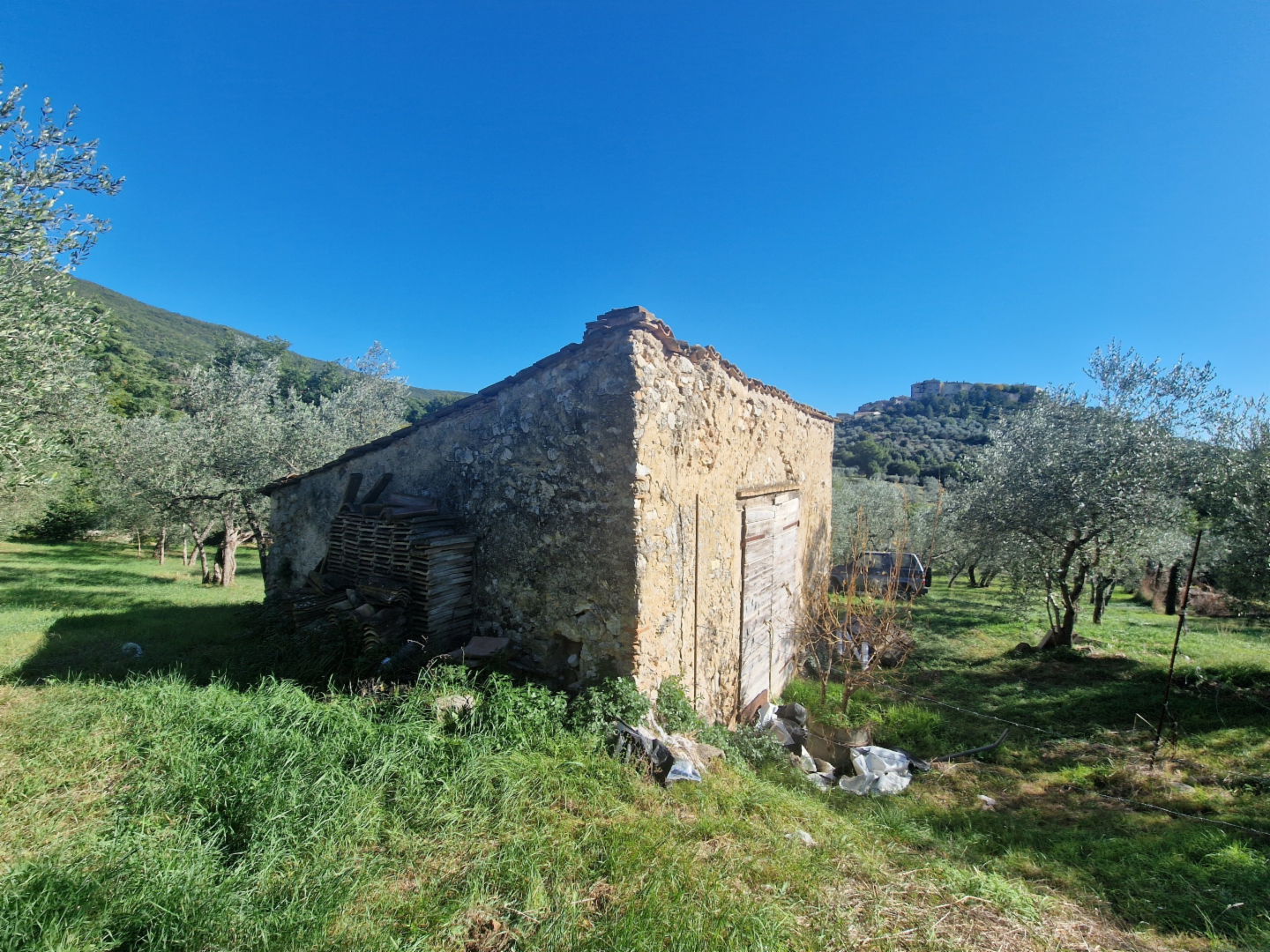 immagine annuncio 6 di 10