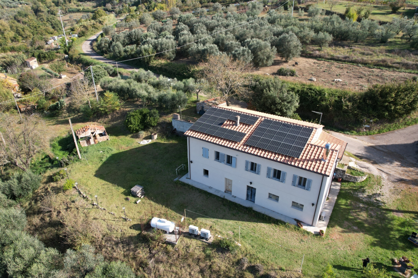 immagine annuncio 2 di 10