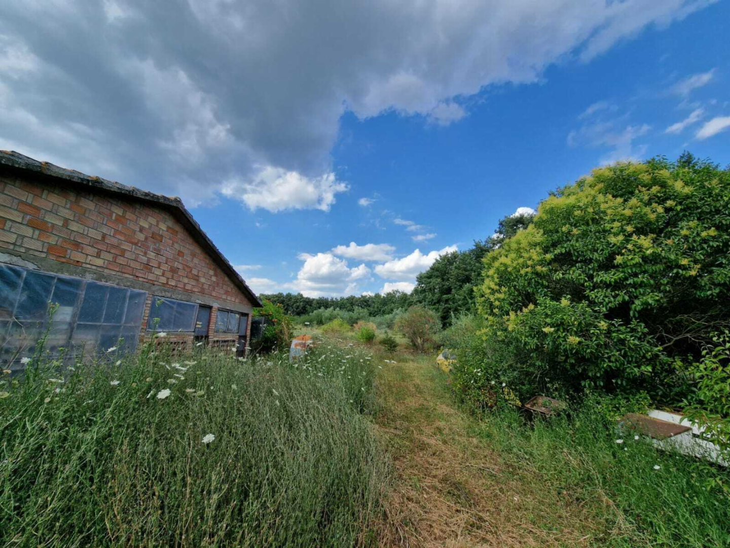 immagine annuncio 8 di 10