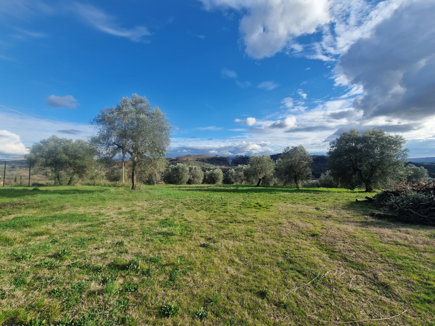 immagine annuncio 1 di 2