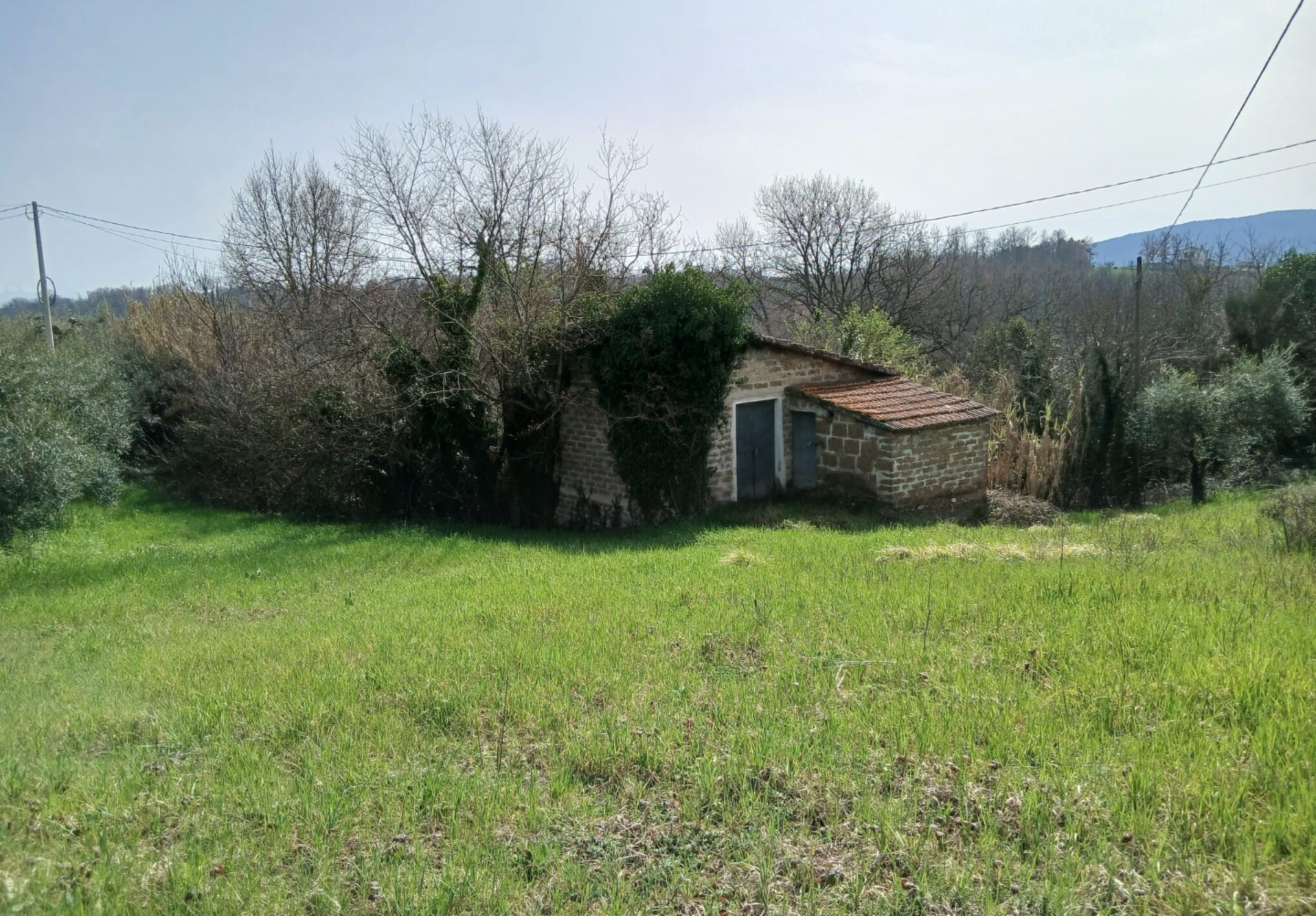 immagine annuncio 2 di 10