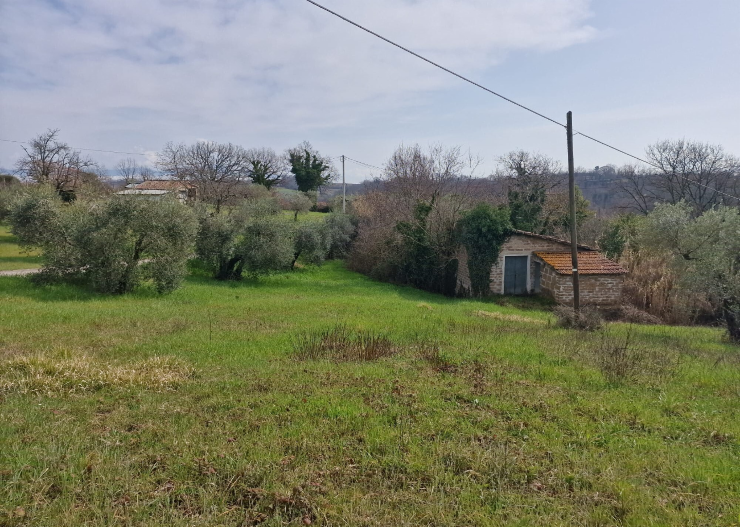 immagine annuncio 5 di 10