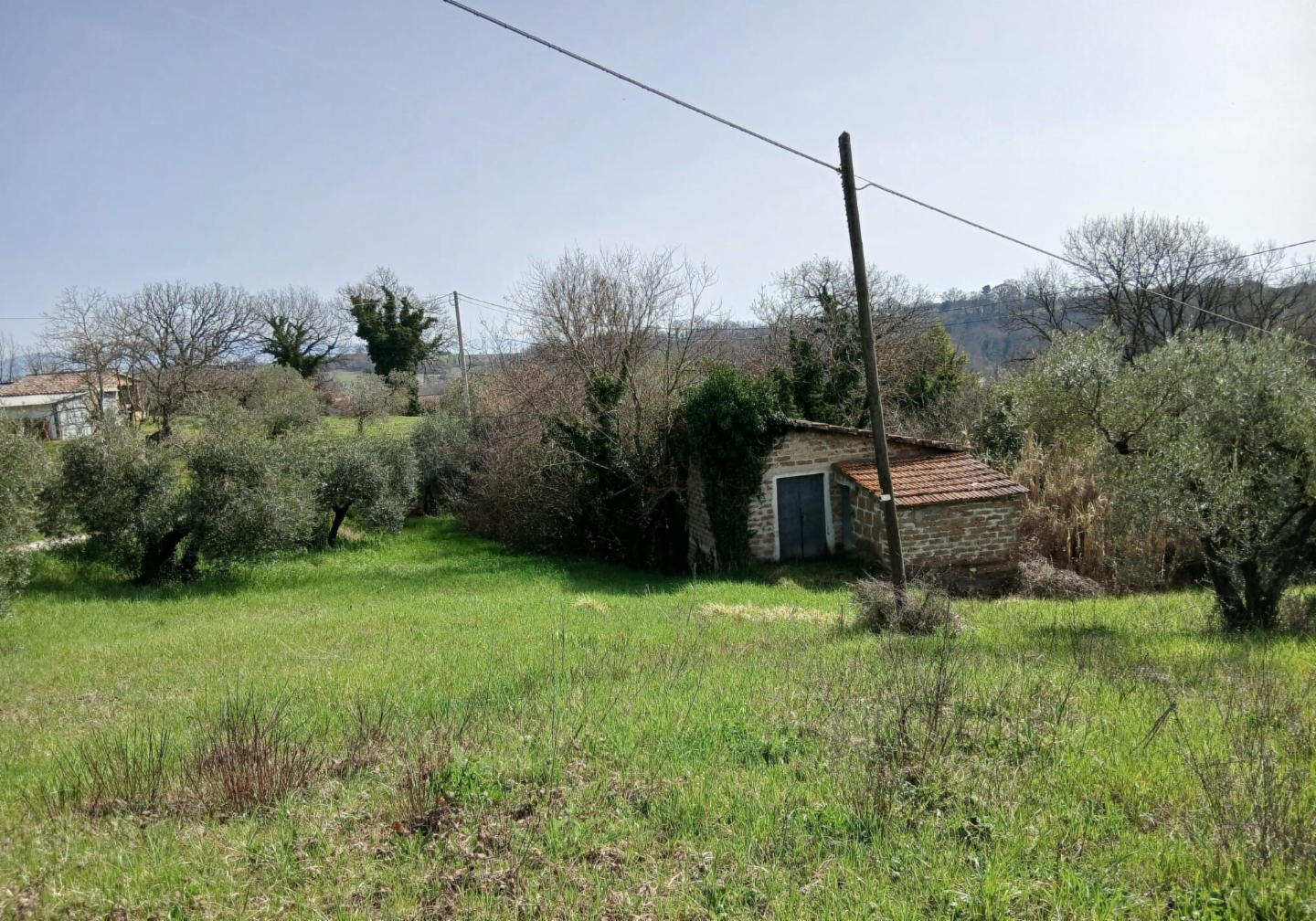 immagine annuncio 4 di 10