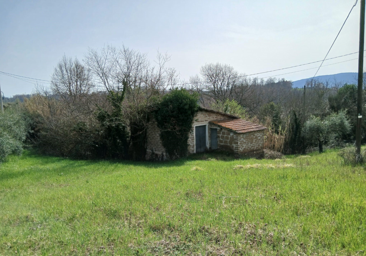 immagine annuncio 6 di 10