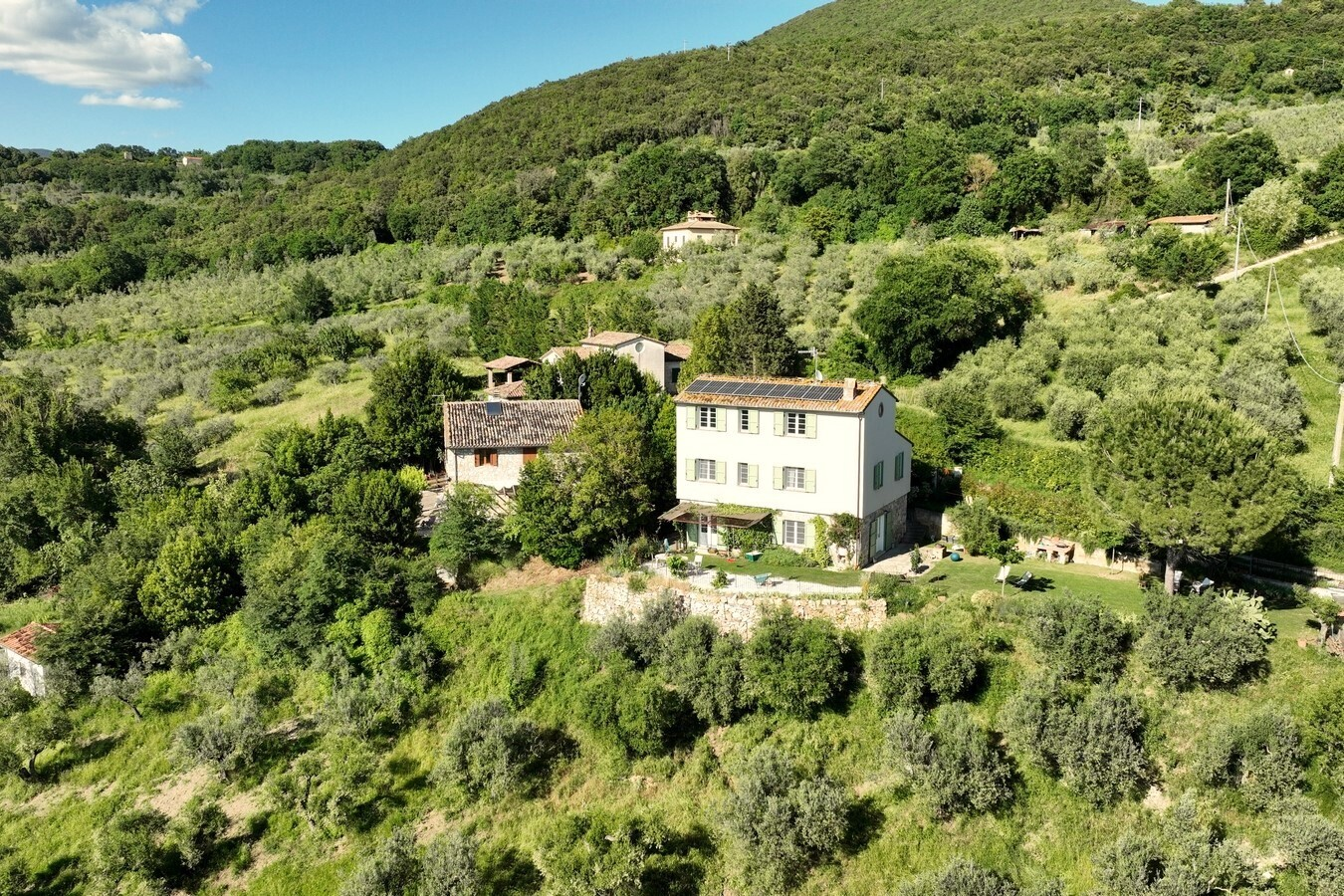 immagine annuncio 2 di 10