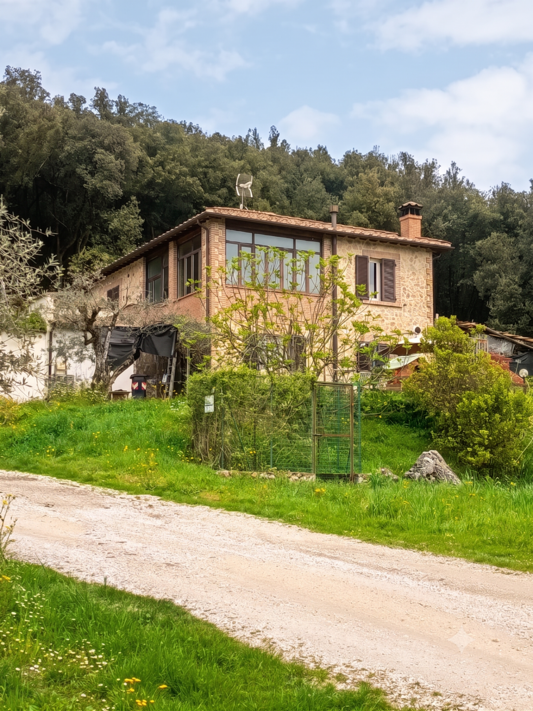 immagine annuncio 3 di 10