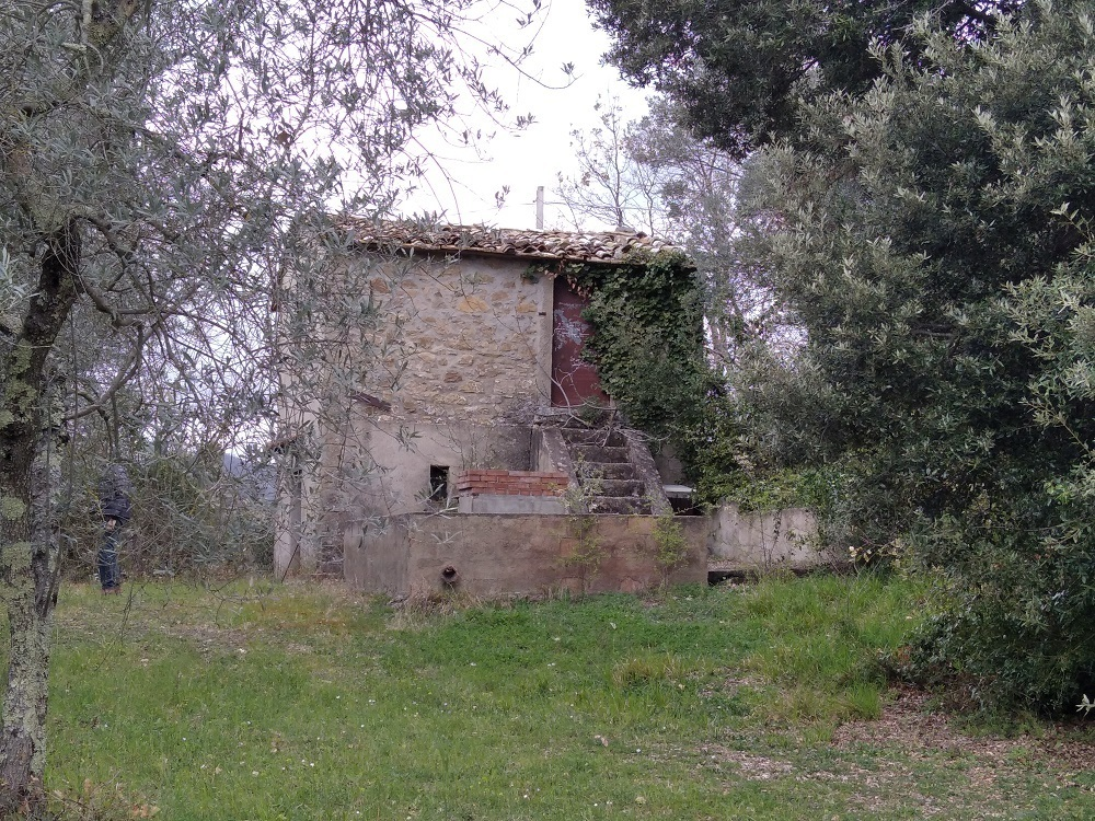immagine annuncio 2 di 6