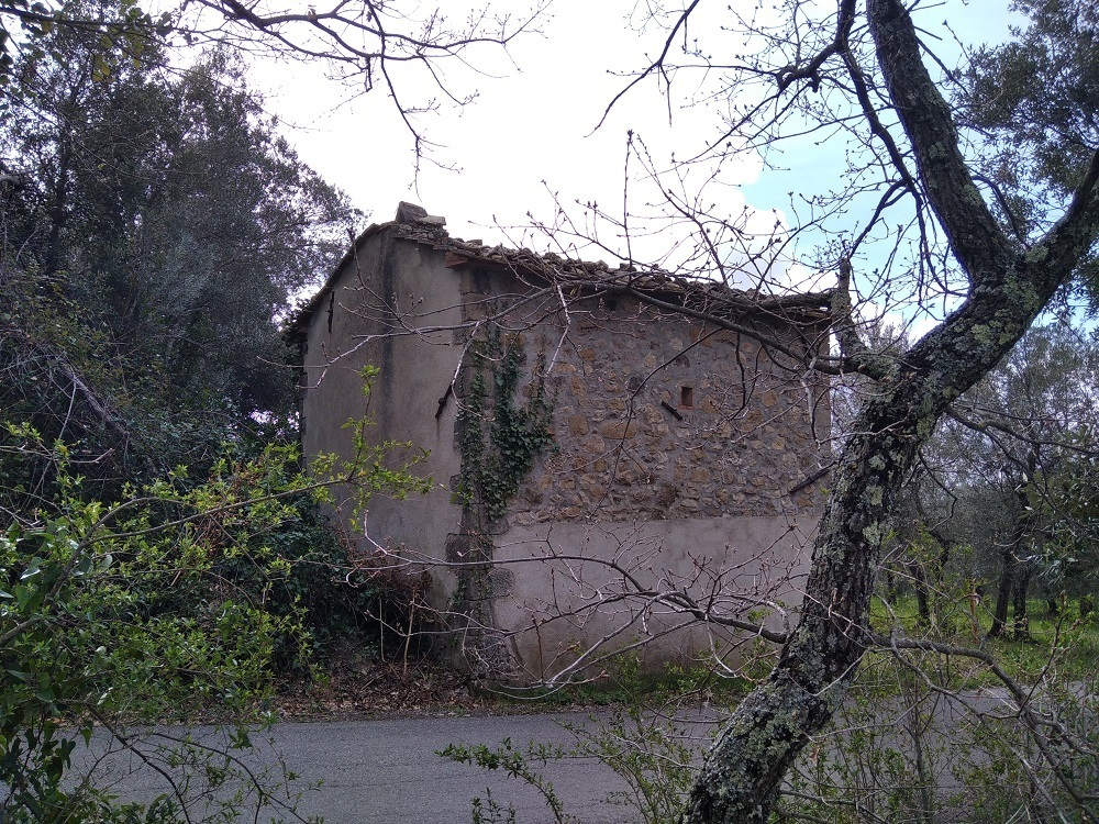 immagine annuncio 1 di 6