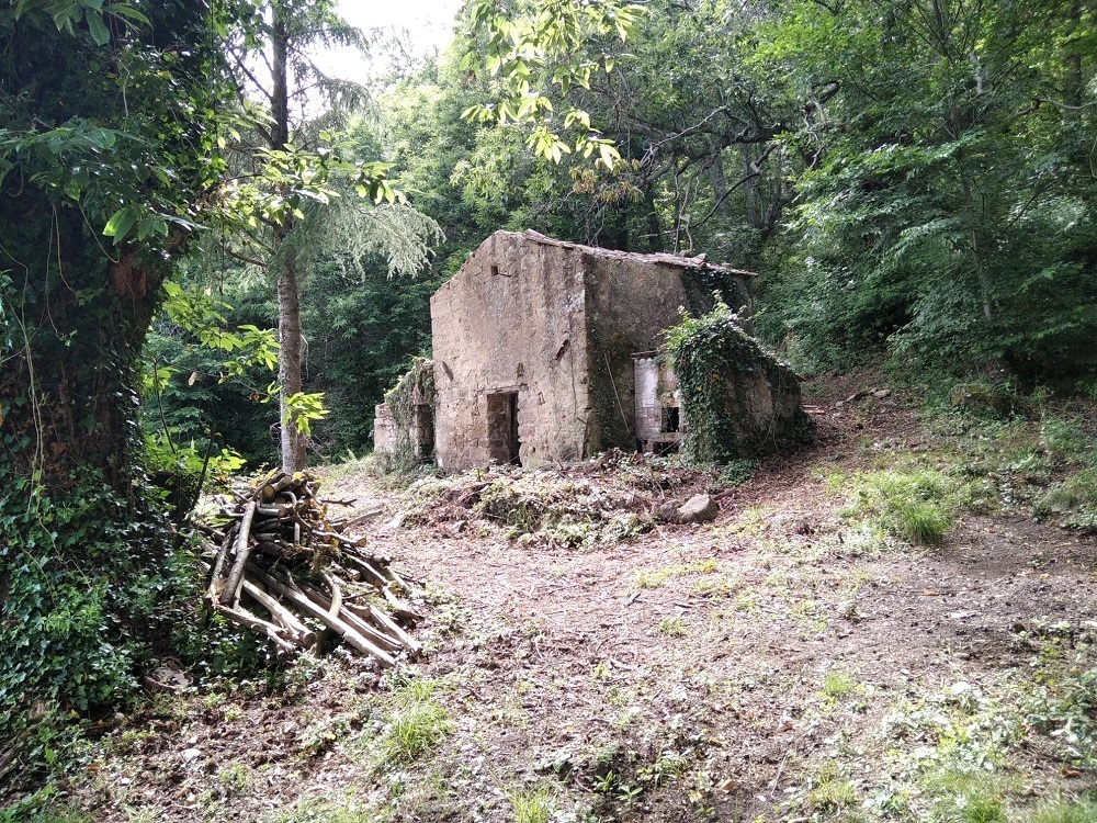 immagine annuncio 2 di 7