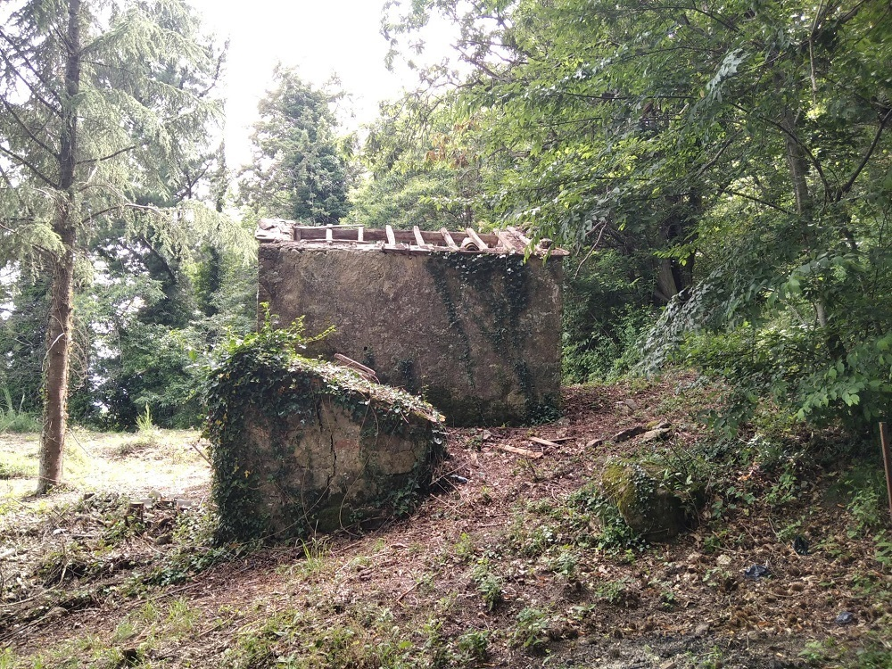 immagine annuncio 1 di 7