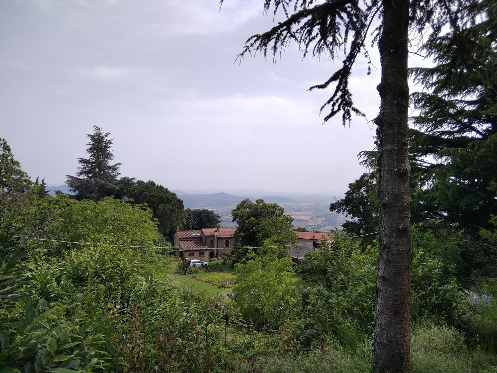 immagine annuncio 3 di 7
