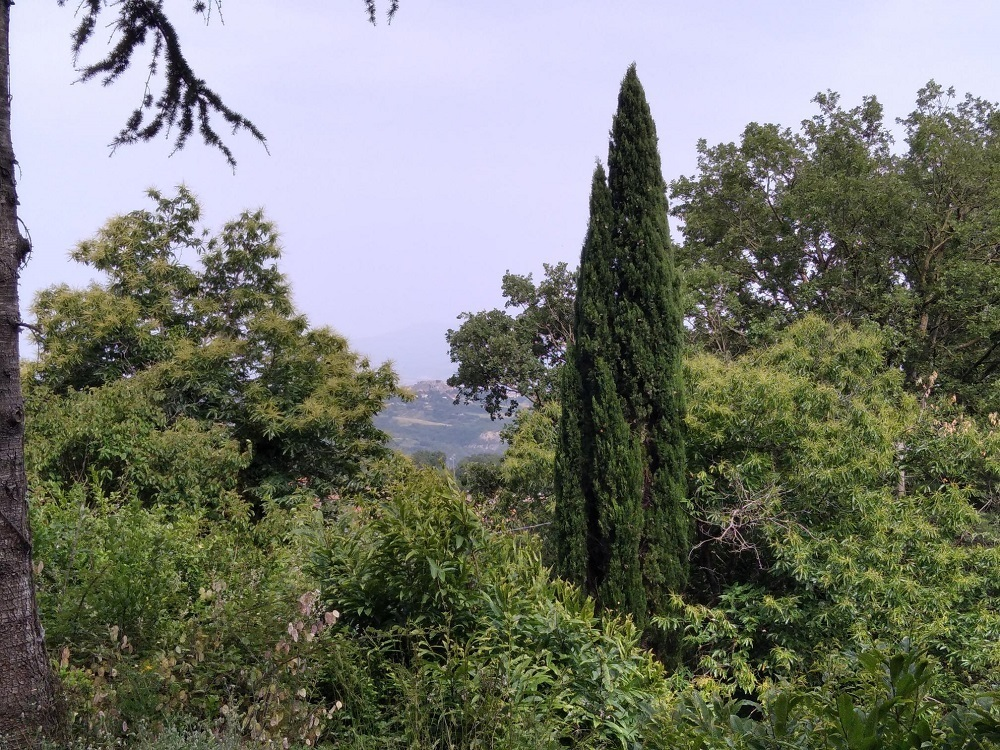immagine annuncio 5 di 7