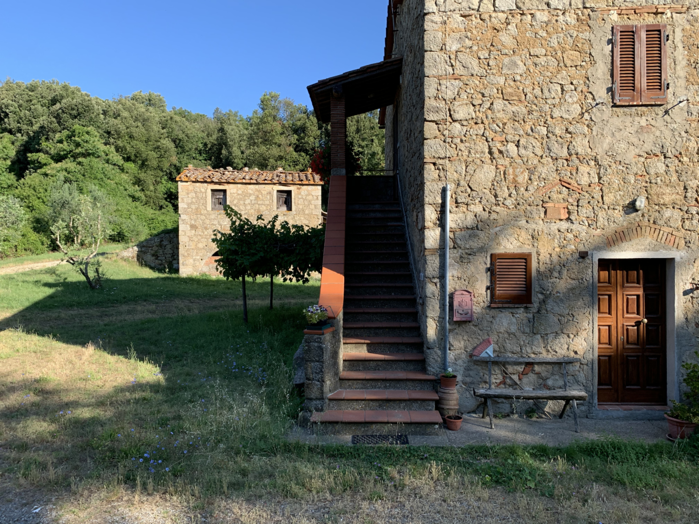 immagine annuncio 4 di 10