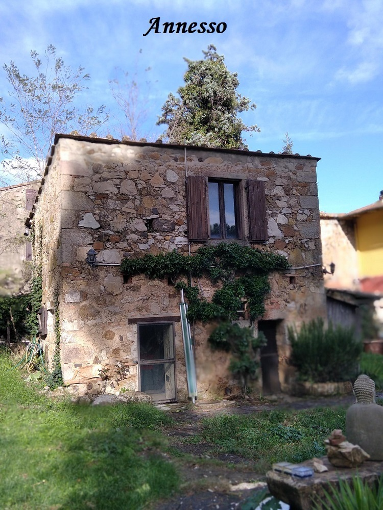 immagine annuncio 1 di 10