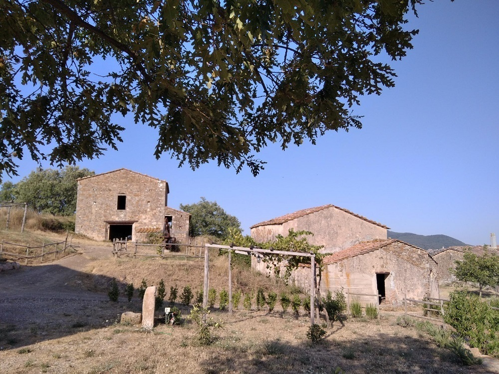 immagine annuncio 2 di 7