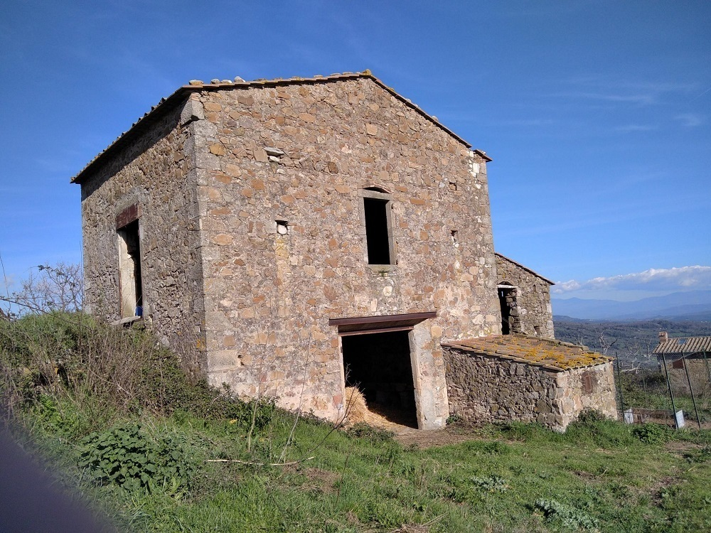 immagine annuncio 4 di 7