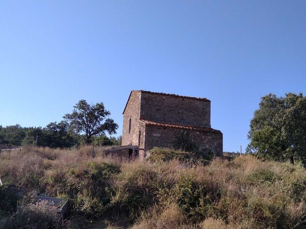 immagine annuncio 1 di 7