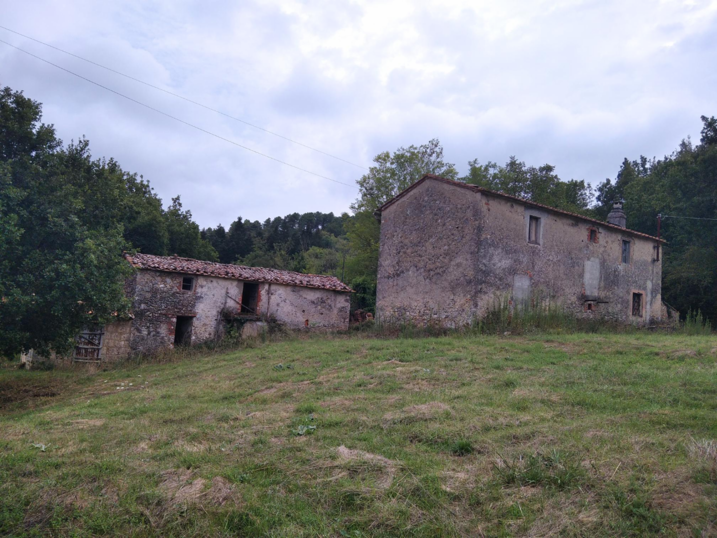 immagine annuncio 1 di 10