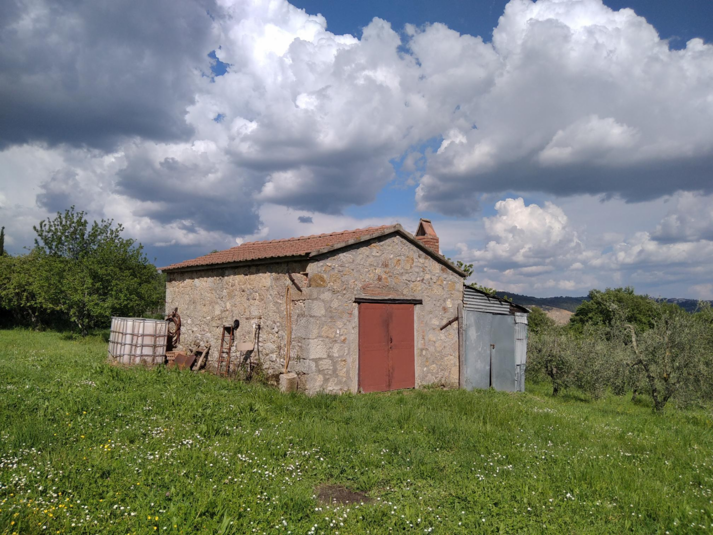 immagine annuncio 3 di 10