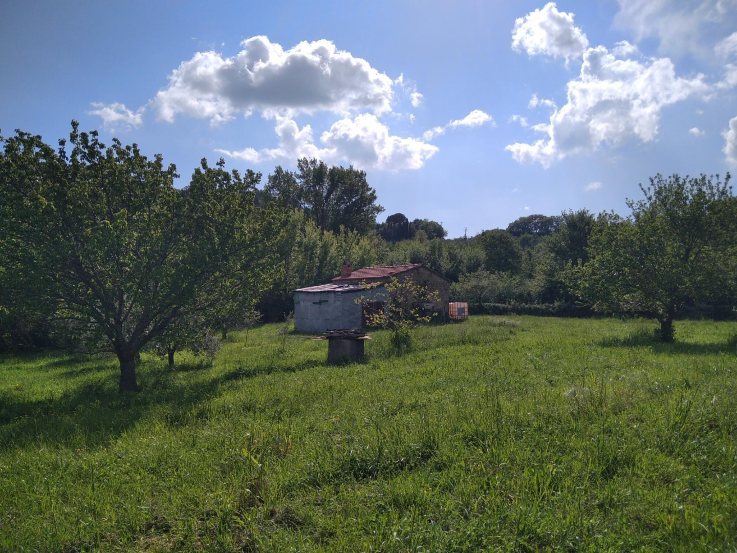 immagine annuncio 4 di 10