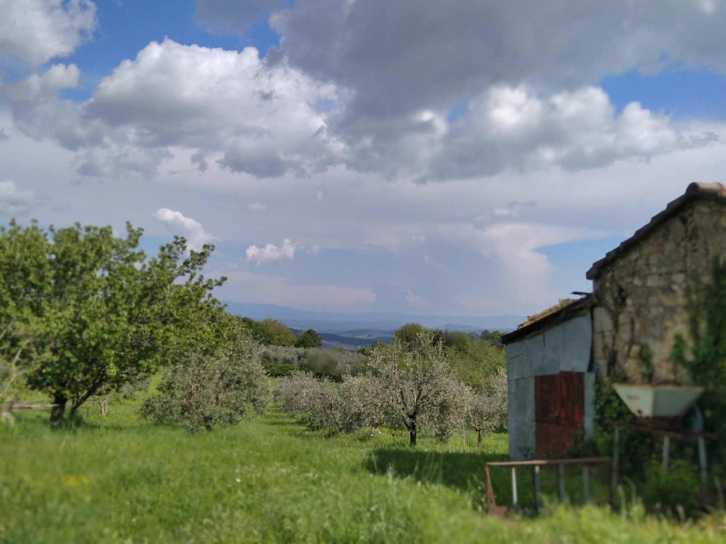 immagine annuncio 7 di 10