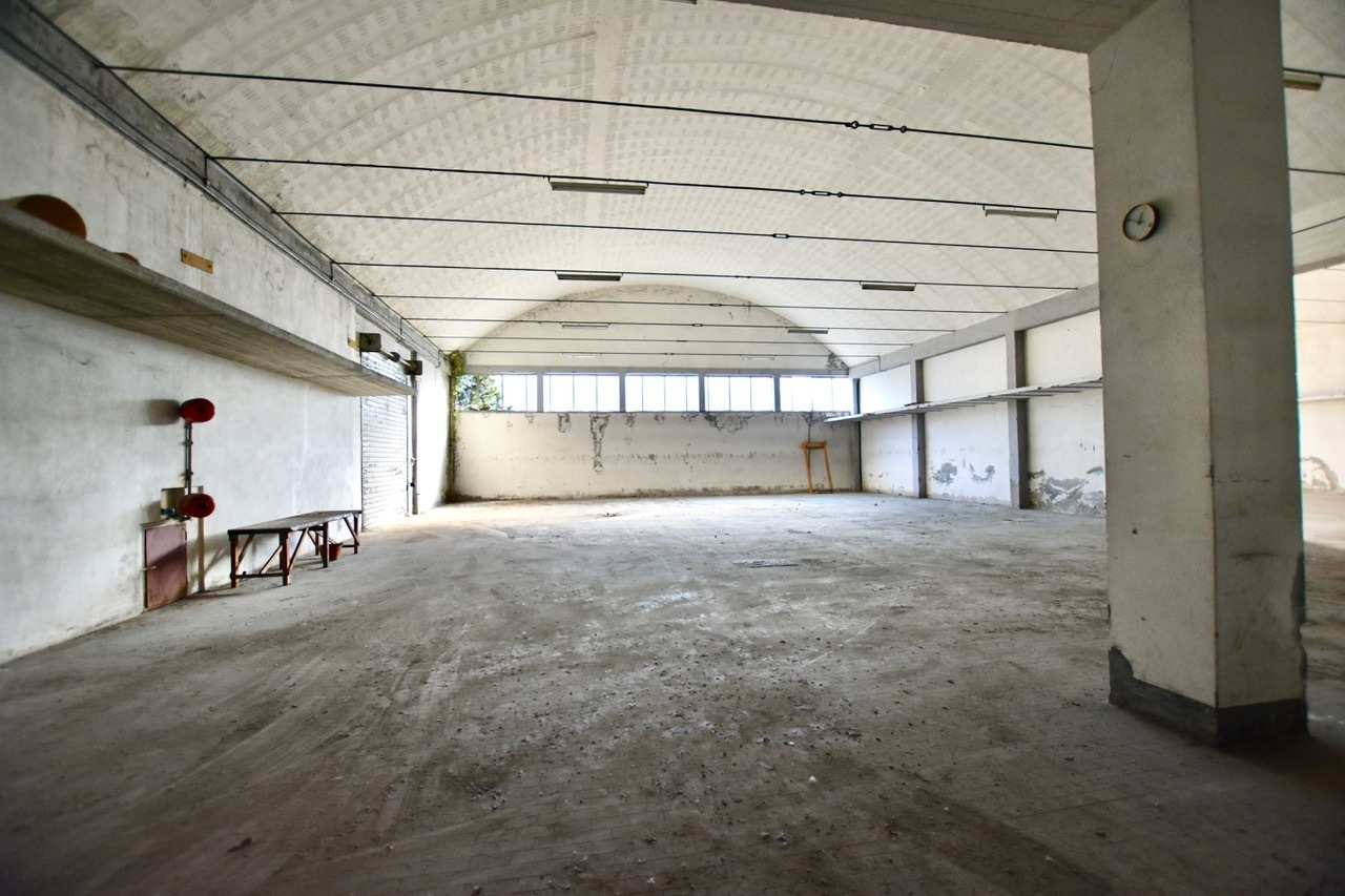 immagine annuncio 6 di 10