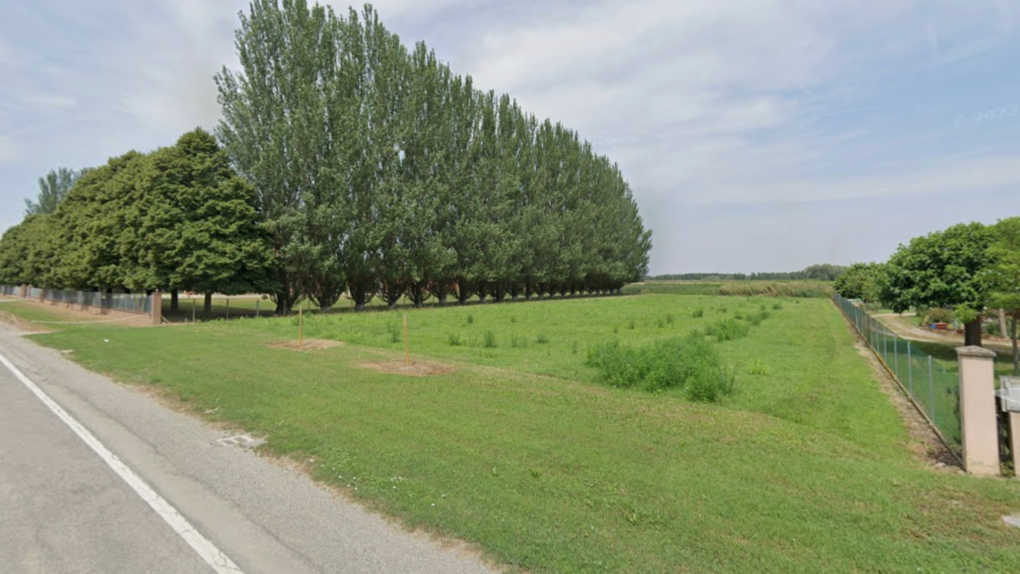 immagine annuncio 2 di 8