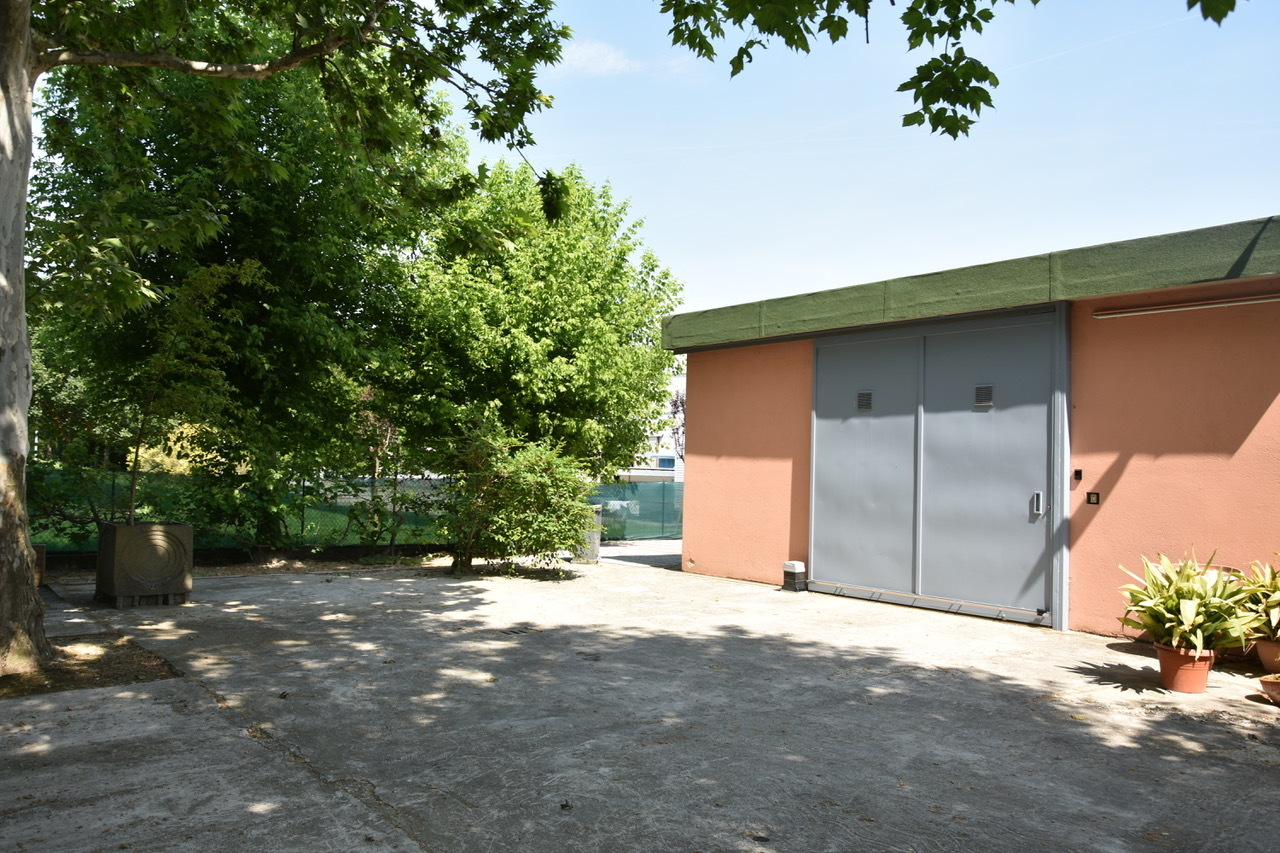 immagine annuncio 2 di 7