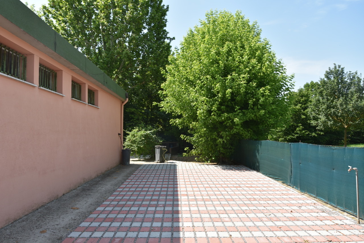 immagine annuncio 4 di 7