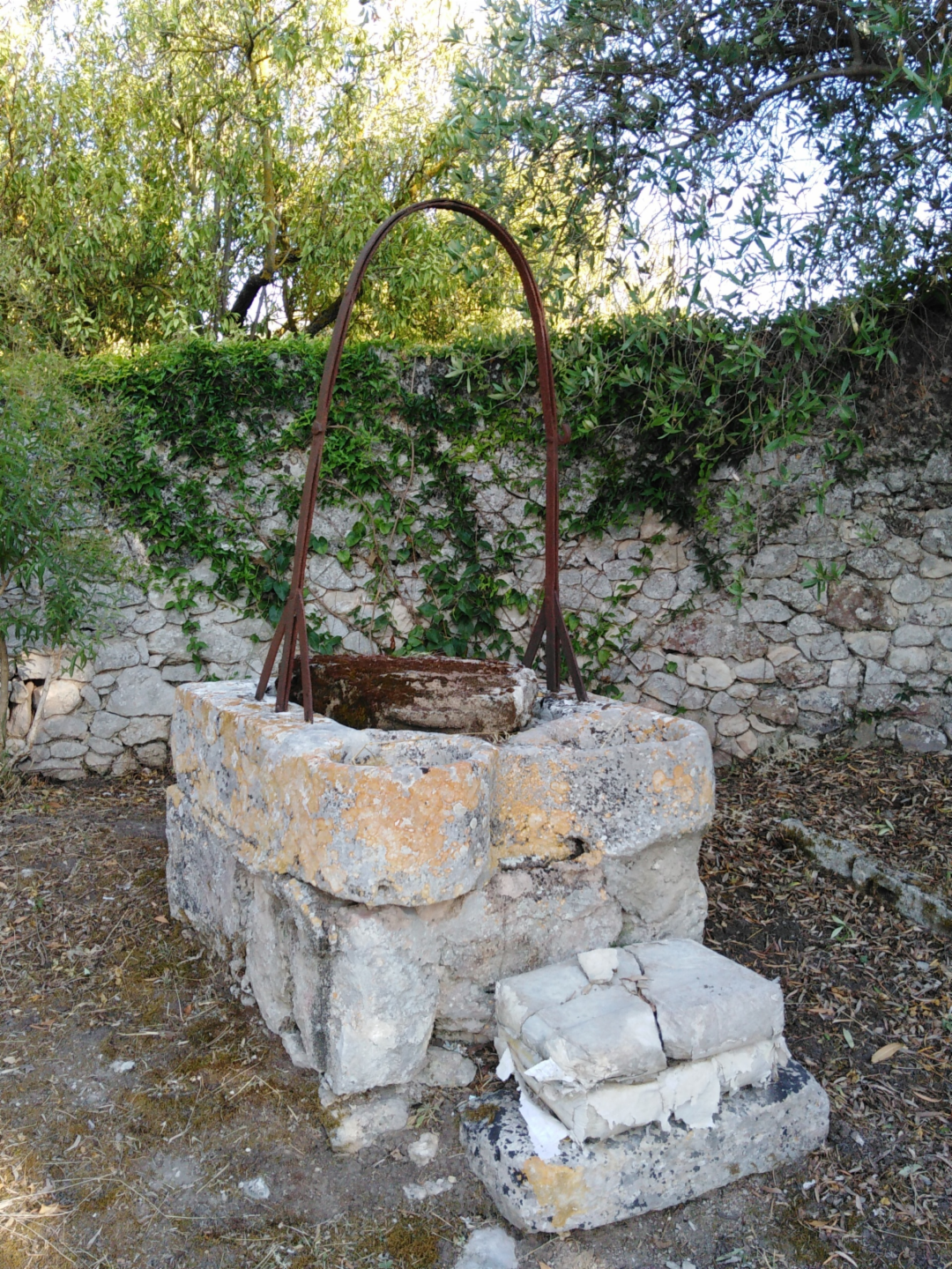 immagine annuncio 3 di 10