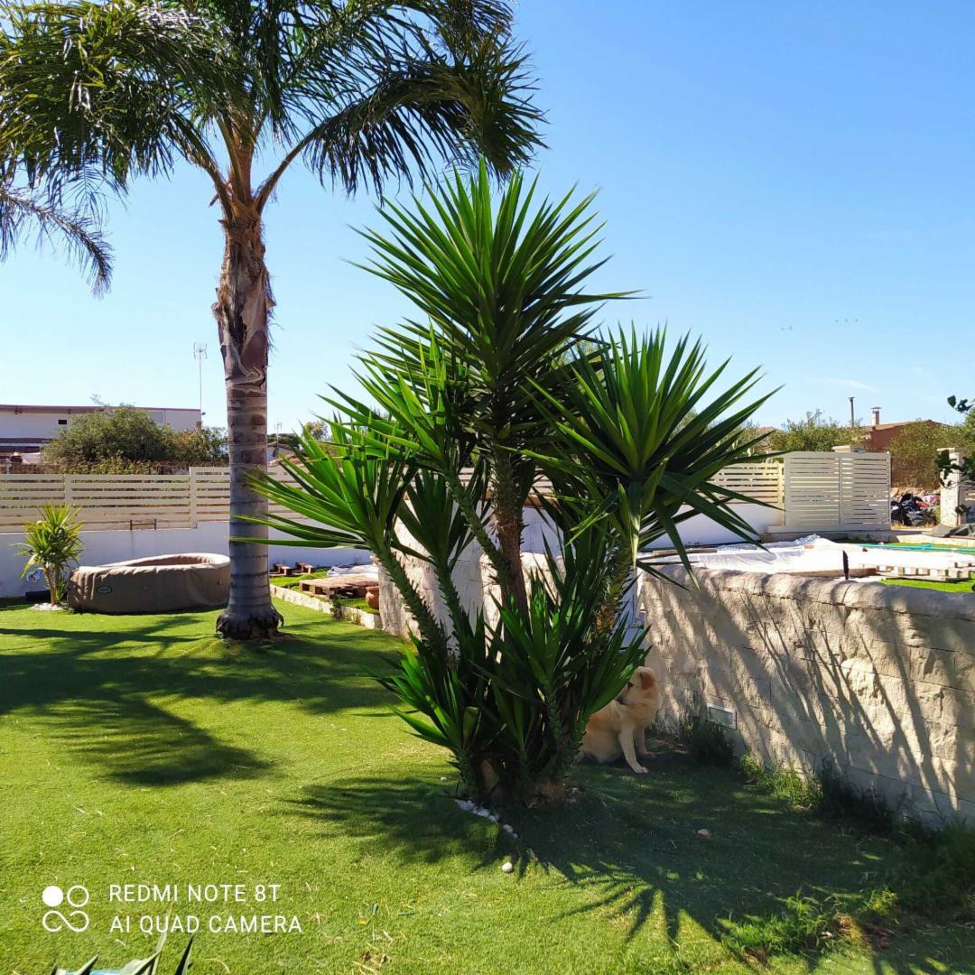 immagine annuncio 3 di 10