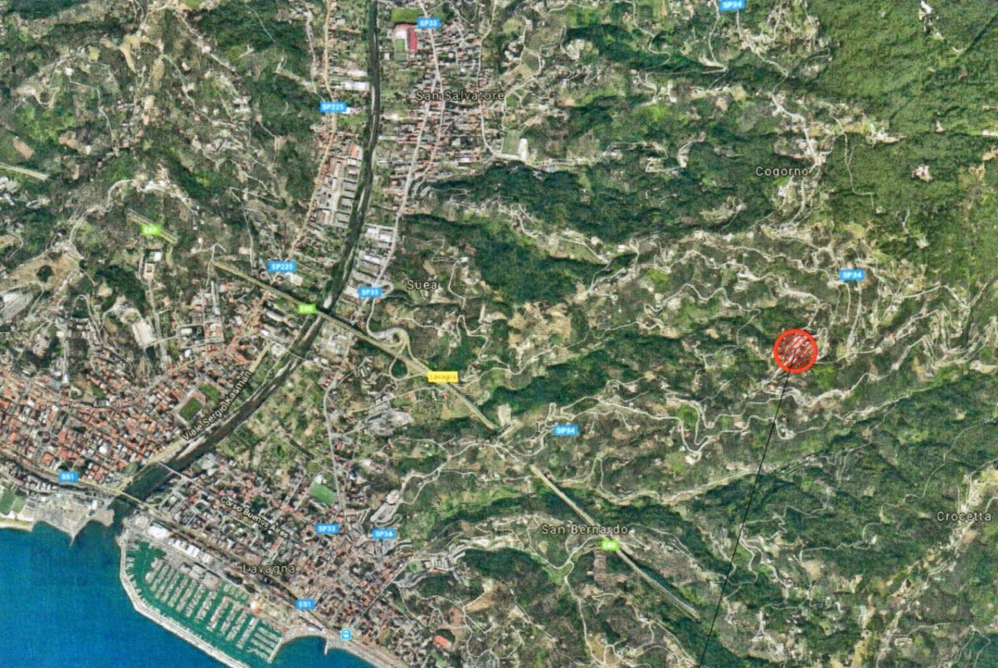 immagine annuncio 2 di 9