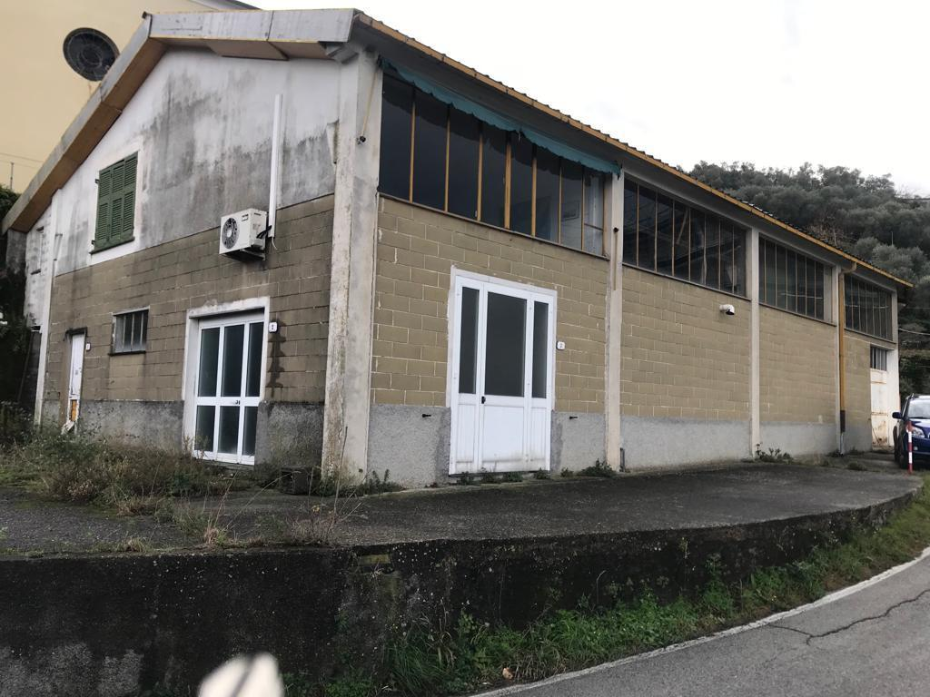 immagine annuncio 7 di 9