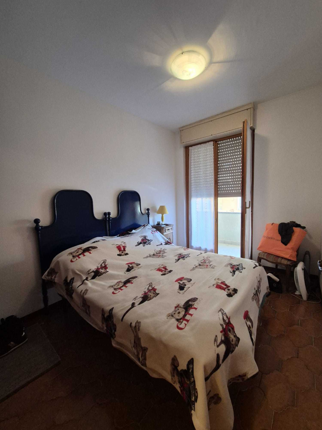 immagine annuncio 3 di 6