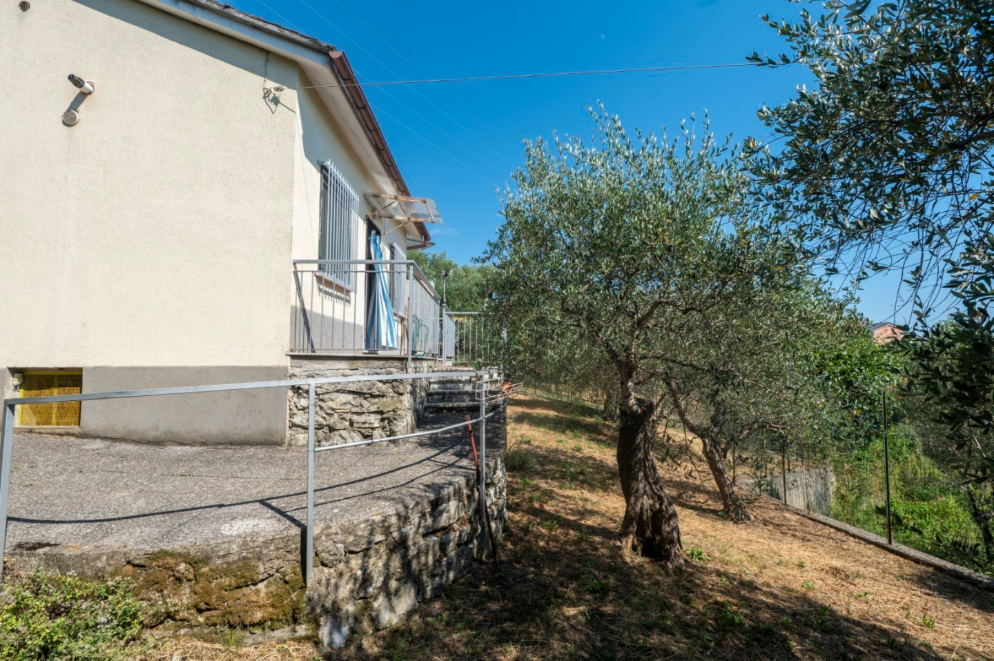 immagine annuncio 9 di 10