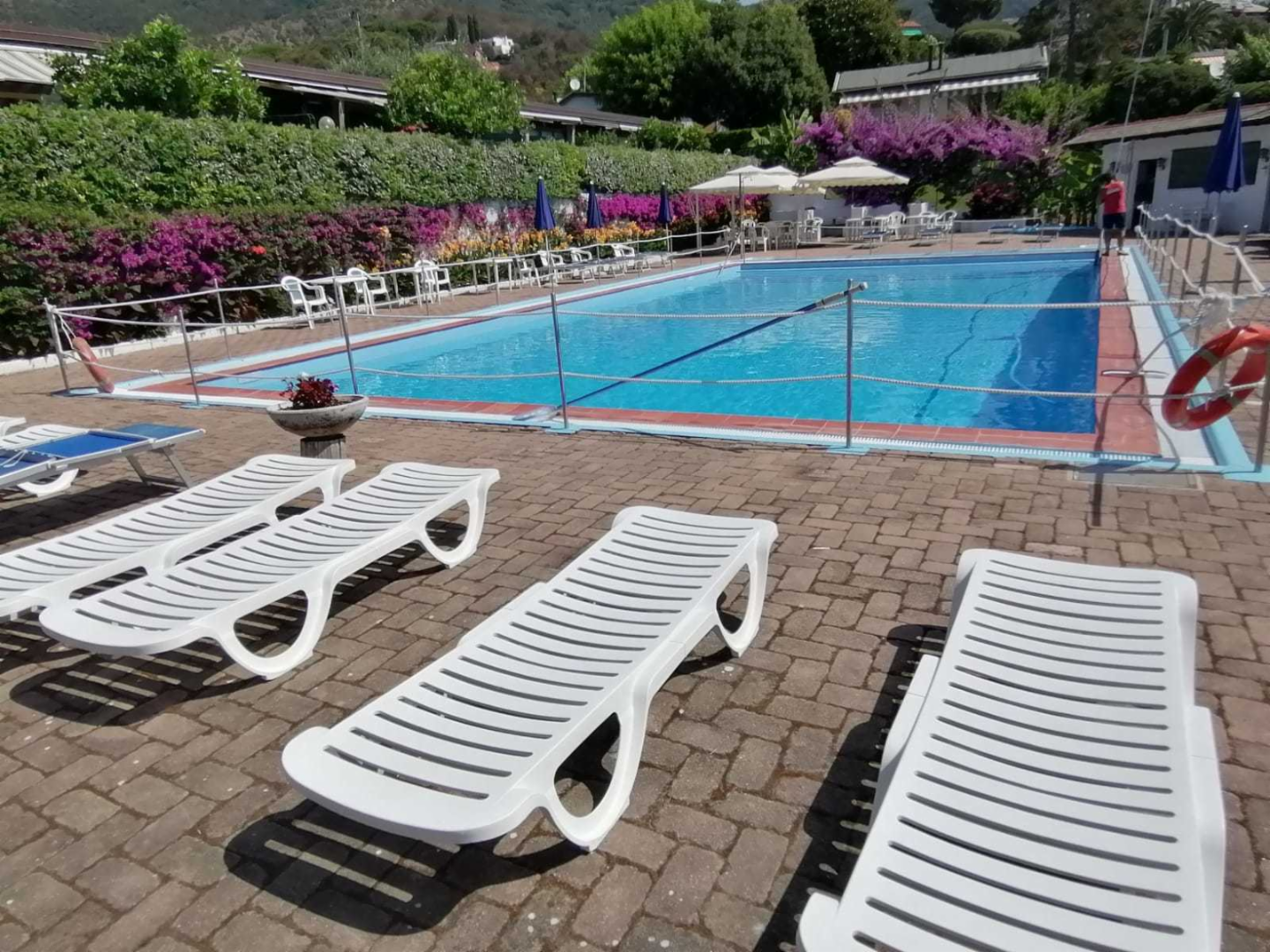 immagine annuncio 4 di 10