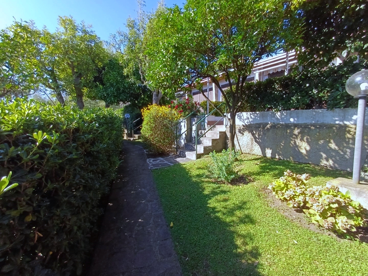 immagine annuncio 8 di 10