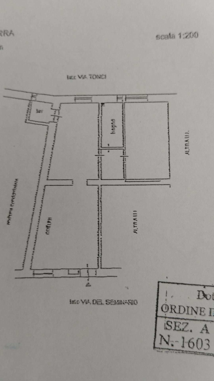 immagine annuncio 1 di 2