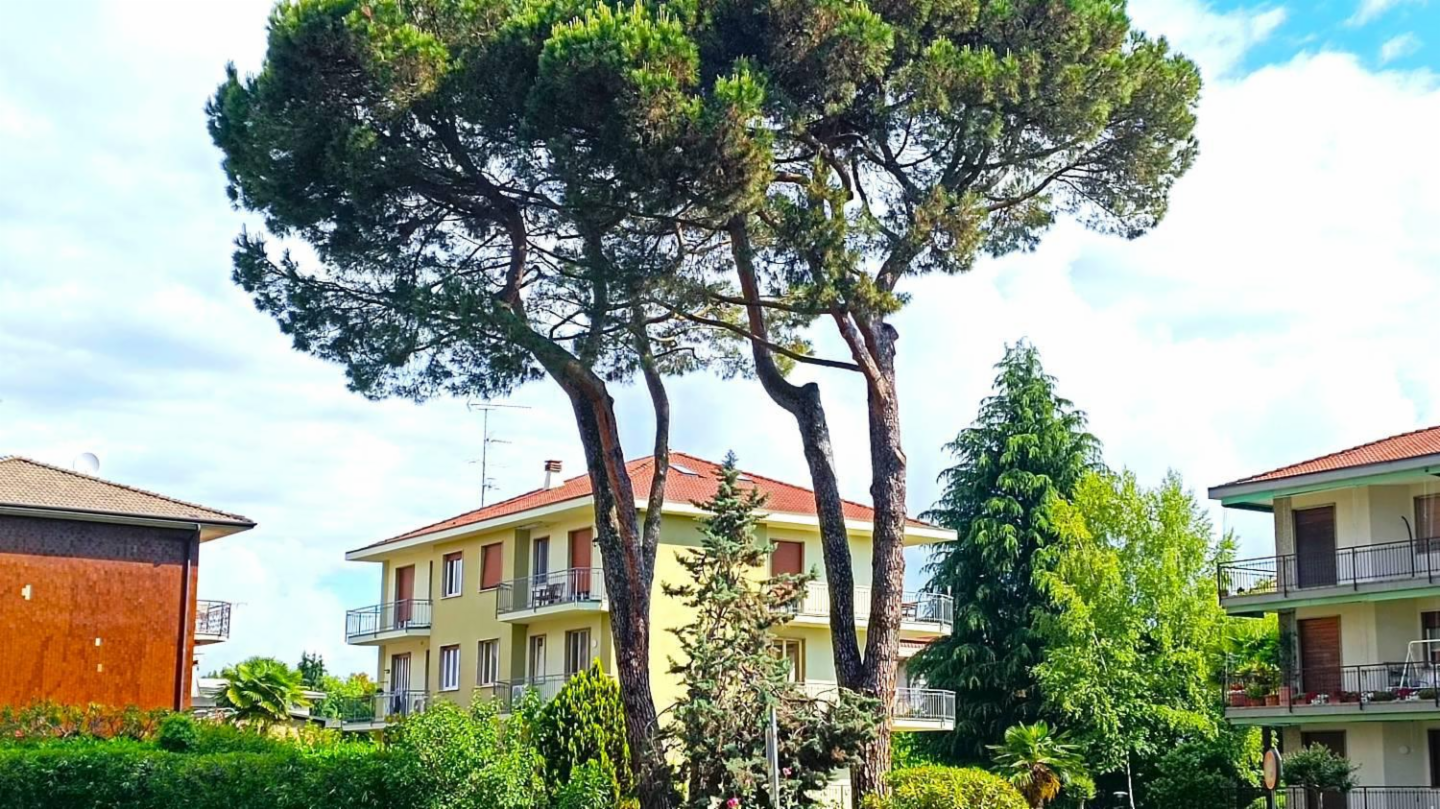 immagine annuncio 2 di 10