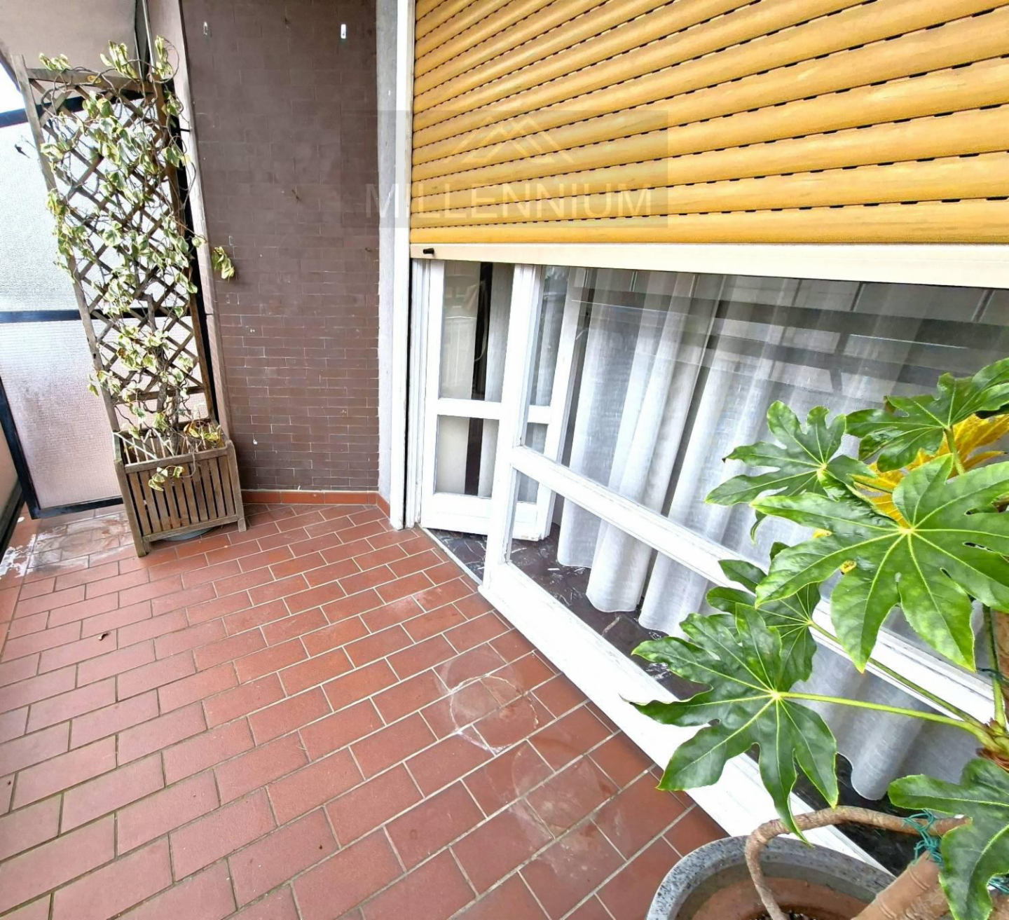 immagine annuncio 4 di 8