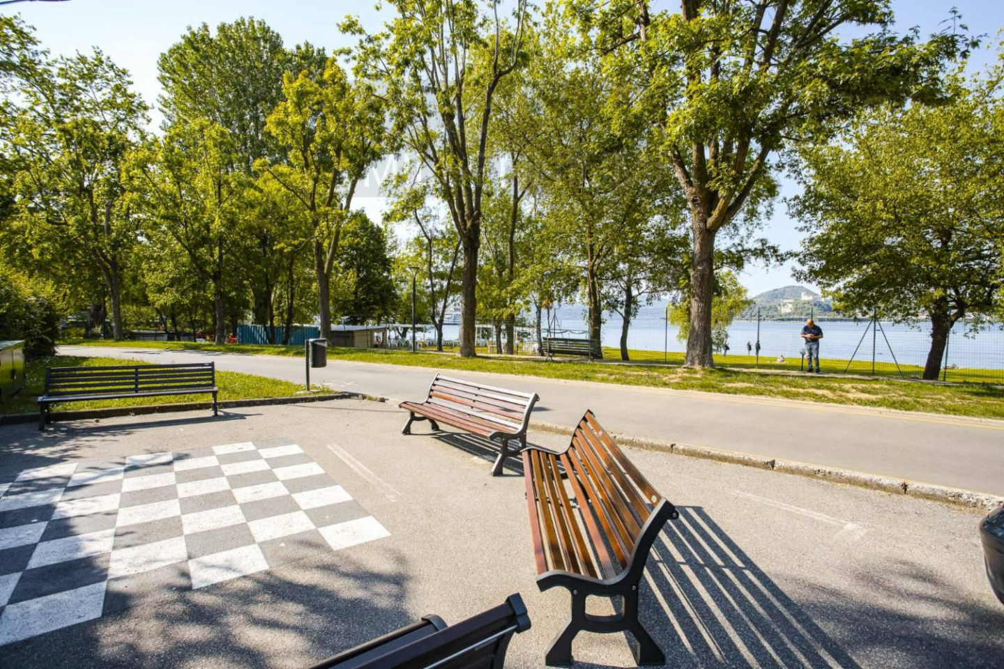 immagine annuncio 3 di 10