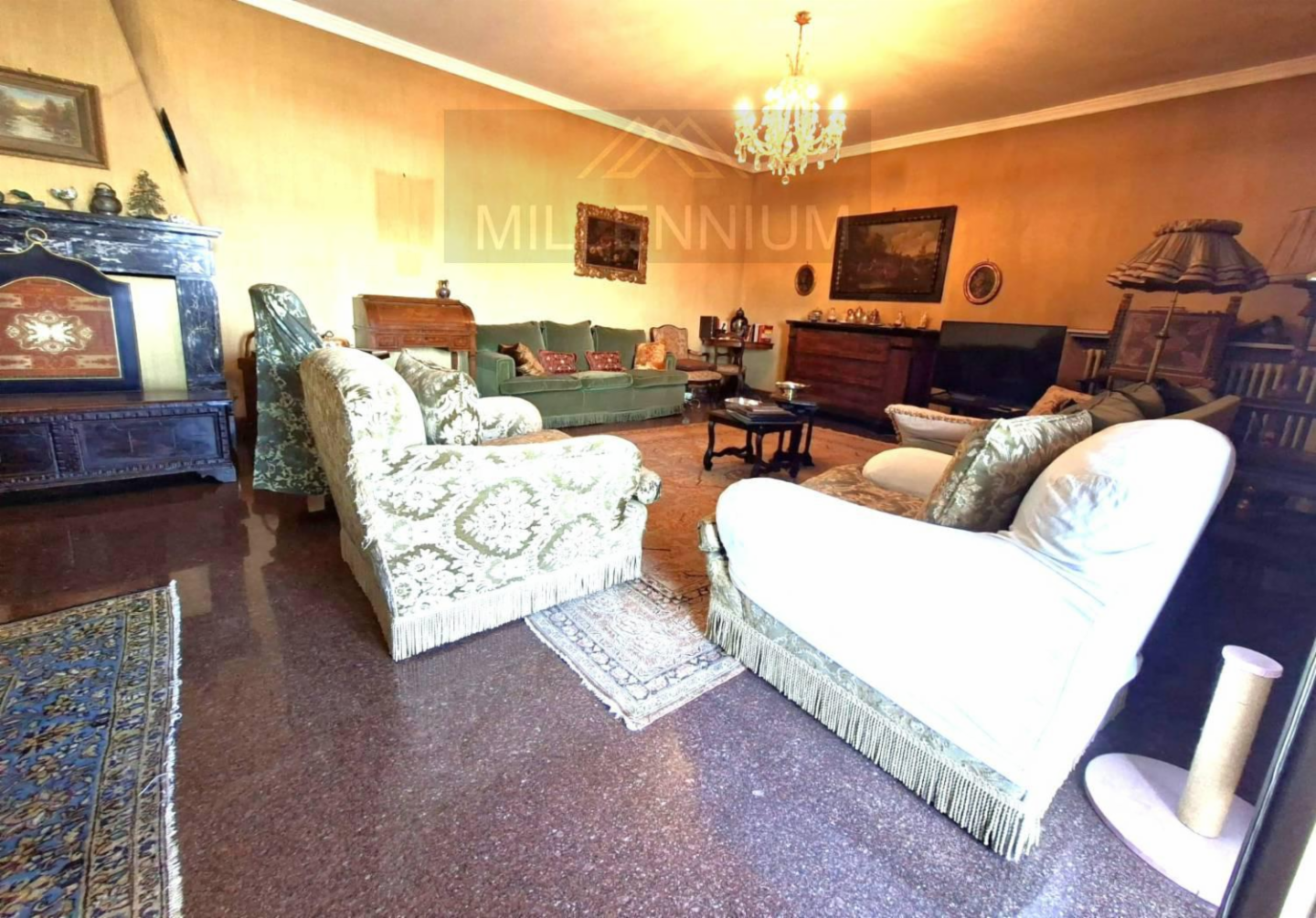 immagine annuncio 4 di 10