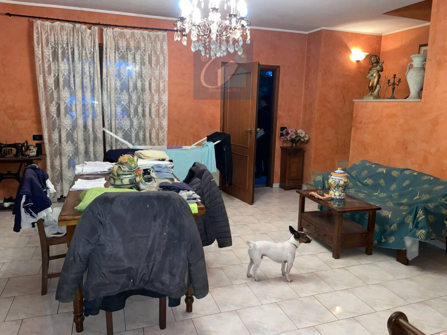 immagine annuncio 9 di 10