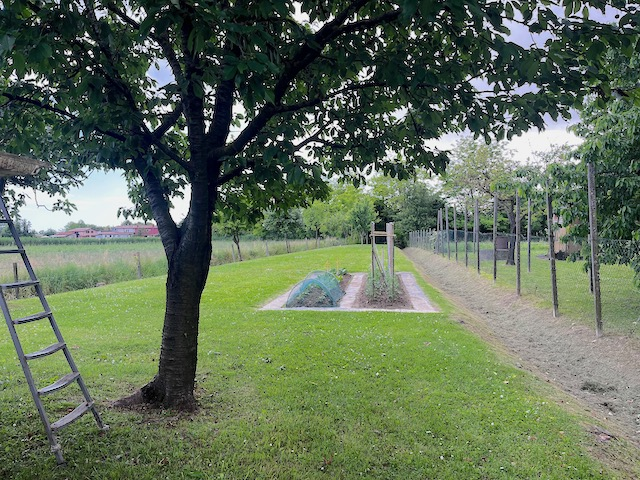 immagine annuncio 4 di 10