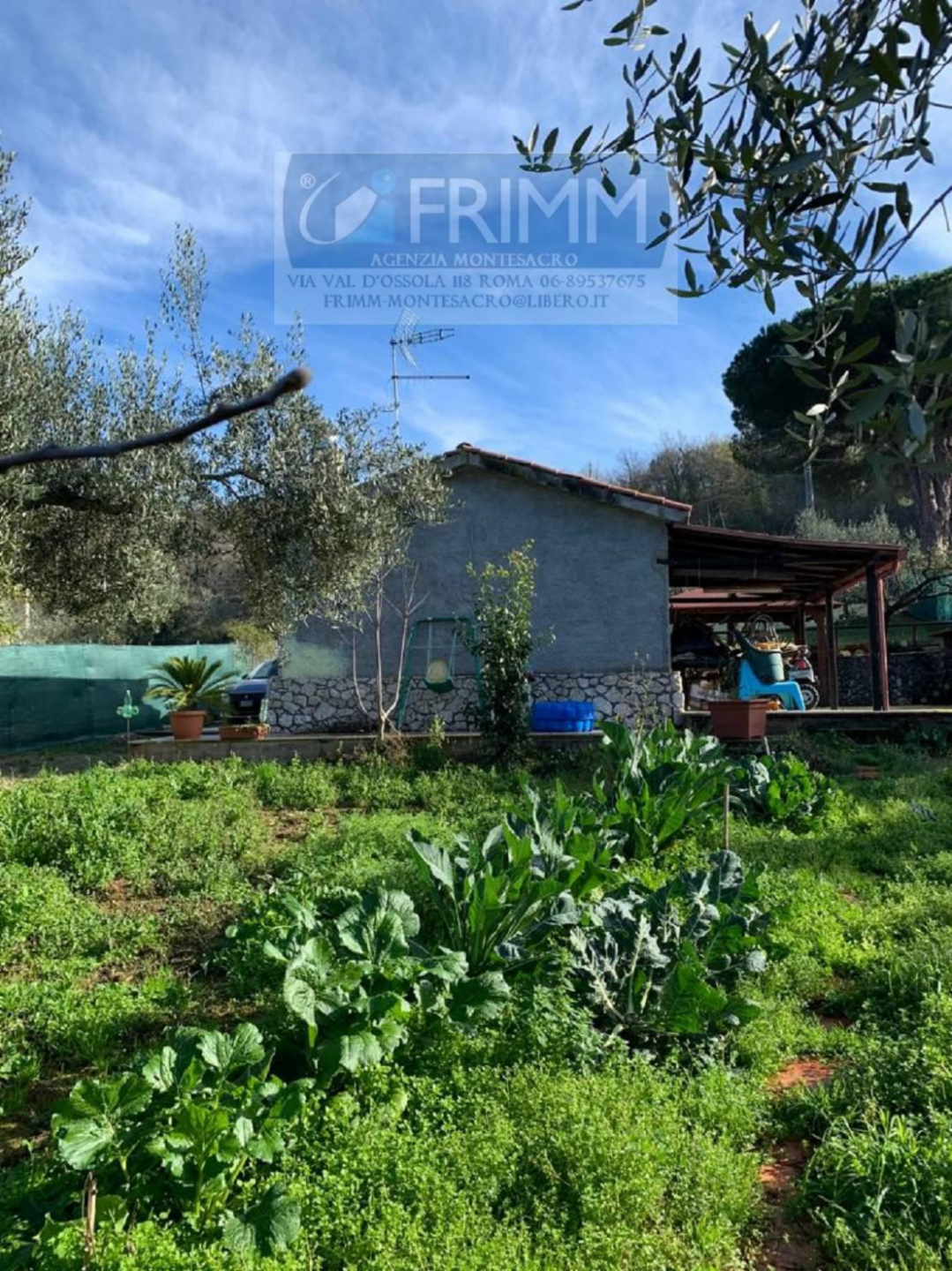 immagine annuncio 9 di 10