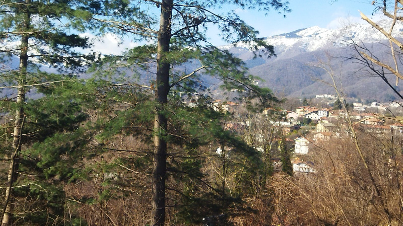 immagine annuncio 7 di 10
