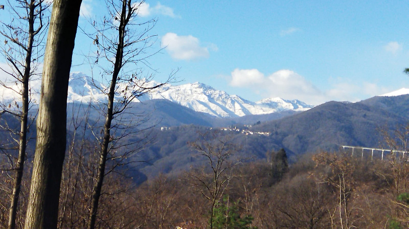 immagine annuncio 8 di 10