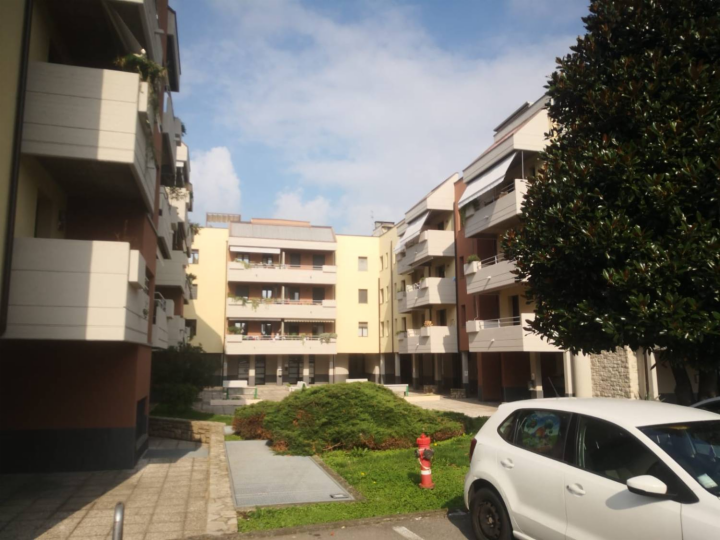 immagine annuncio 5 di 6