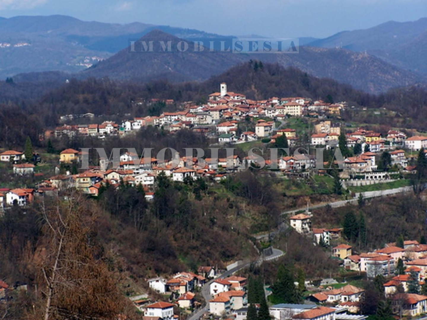 immagine annuncio 6 di 7