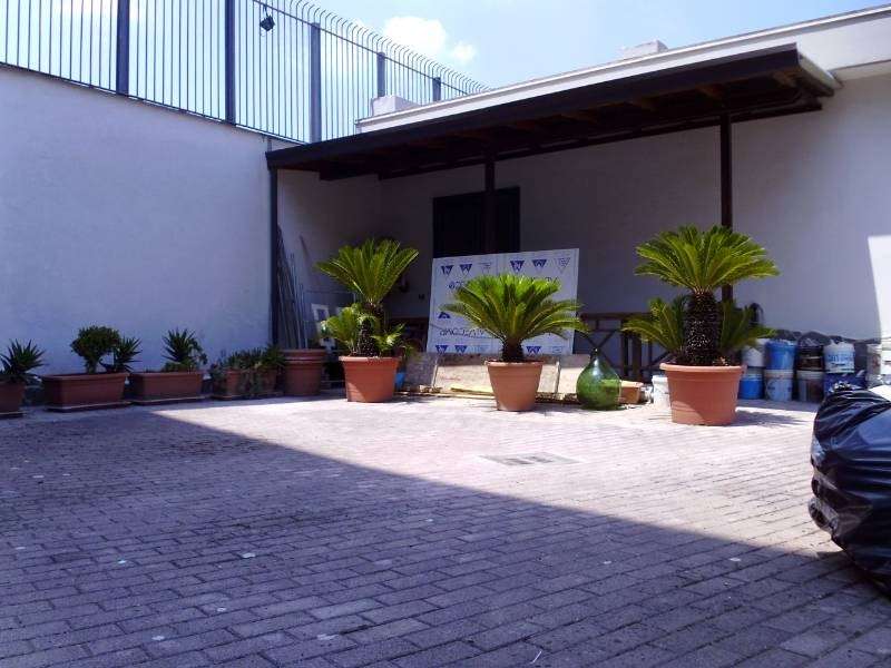 immagine annuncio 4 di 8